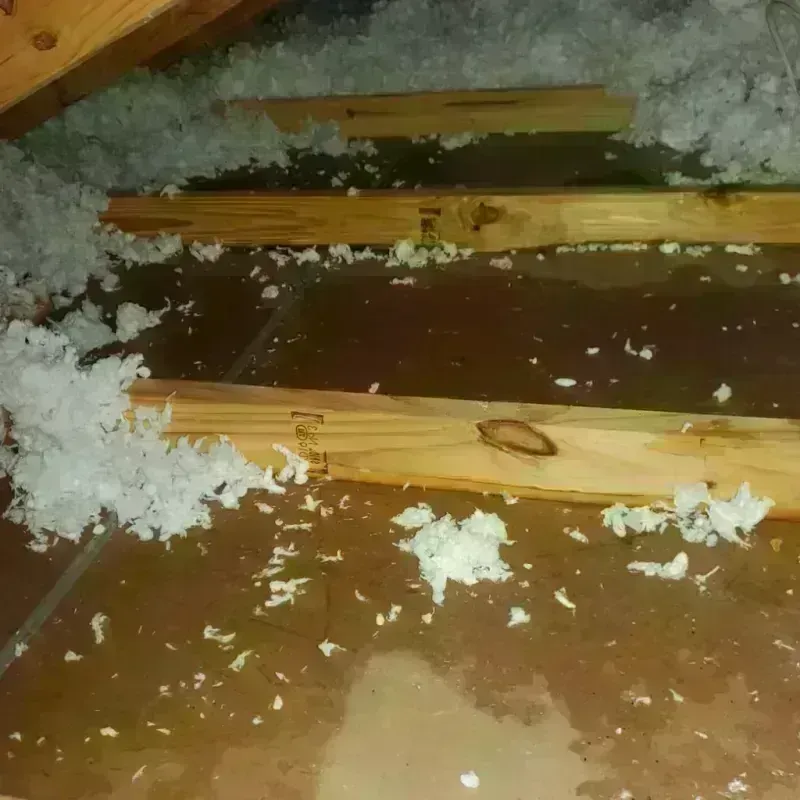 Attic Water Damage in Lake Providence, LA