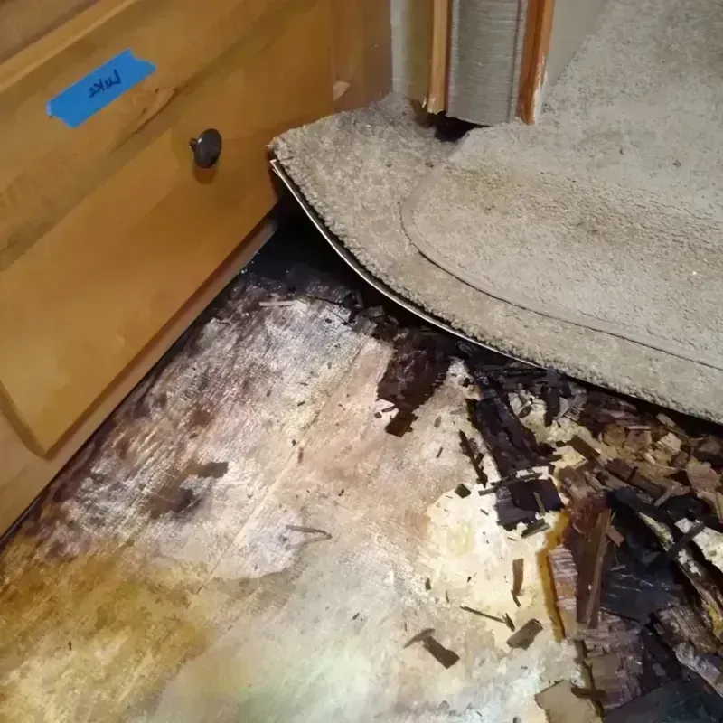 Best Wood Floor Water Damage Service in Lake Providence, LA